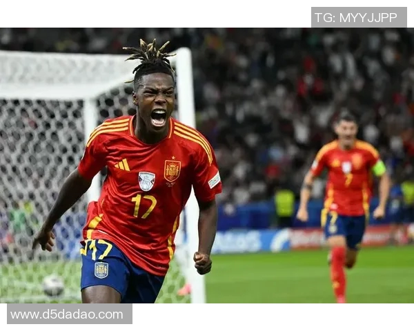 2010年世界杯决赛荷兰与西班牙的全面数据分析与对比 2010年世界杯决赛荷兰与西班牙的全面数据分析与对比