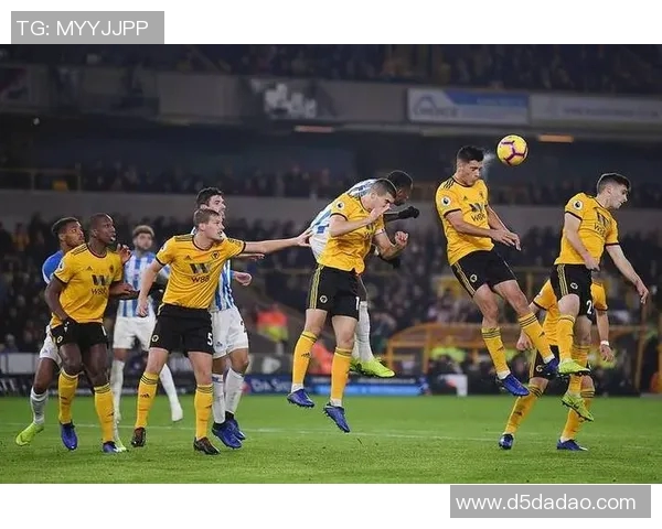 多特蒙德与奥地利维也纳精彩对决全场录像回放及精彩瞬间分析