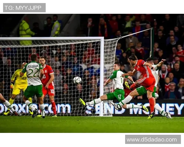 威尔士与保加利亚激战在即球迷期待精彩对决与历史交锋