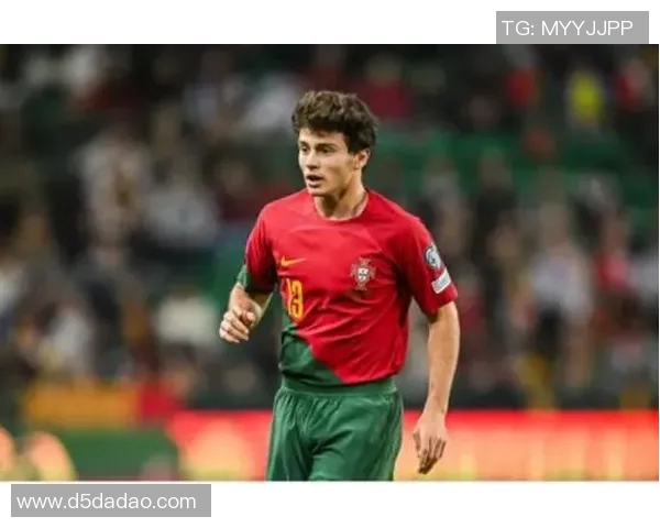 若昂内维斯：从天才少年到足球场上的璀璨明星之路