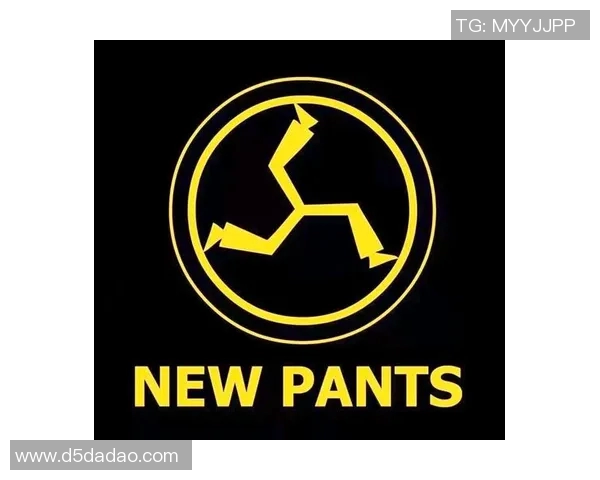 斯通斯乐队的音乐传奇与文化影响力探讨 斯通斯乐队的音乐传奇与文化影响力探讨