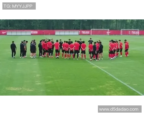 武汉排球队灵活性引发热议球迷与专家各执己见探讨战术调整