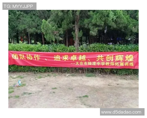 重庆足球队展现卓越团队协作精神助力联赛表现分析