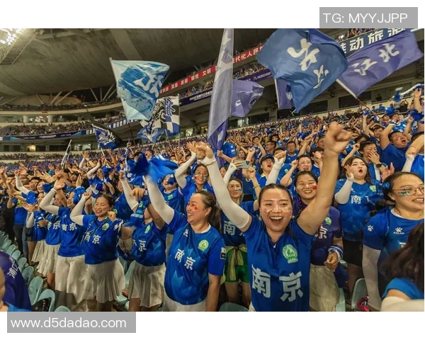 南京排球队比赛经验引发热议球迷观点分歧引关注