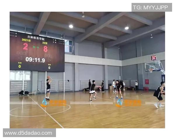 专访赵静：探寻篮球领域成功背后的秘密与智慧